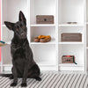Addie Joy Dog-Themed Decorative Wood Crate Set of 3